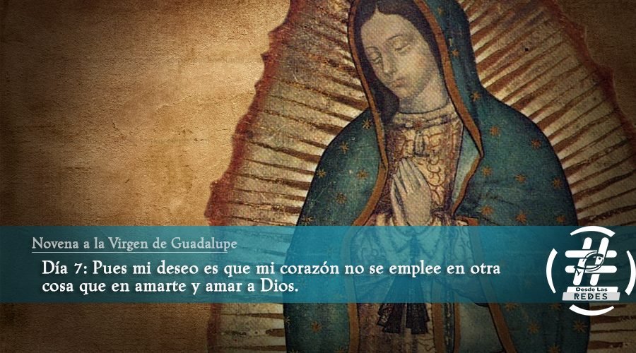 Séptimo Día de la Novena a la Virgen de Guadalupe - Desde las Redes