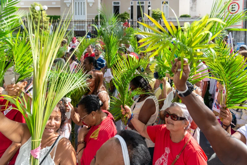 Domingo de Ramos: Profundo Significado y Ritos de la Celebración que Abre la Semana Santa Católica