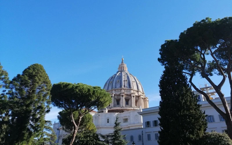 El Vaticano Impulsa un Diálogo Global: Bioética, Ciencia y la Dignidad Humana en el Siglo XXI