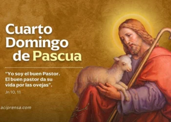 El Papa León XIV invita a la reflexión sobre Jesús Buen Pastor en el Cuarto Domingo de Pascua