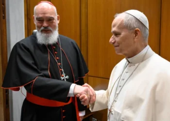 Desafíos y avances de la Iglesia global bajo el pontificado de León XIV