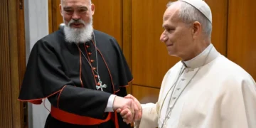 Desafíos y avances de la Iglesia global bajo el pontificado de León XIV