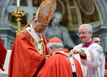 El Papa León XIV subraya la unidad de la Iglesia en la solemnidad de San Pedro y San Pablo
