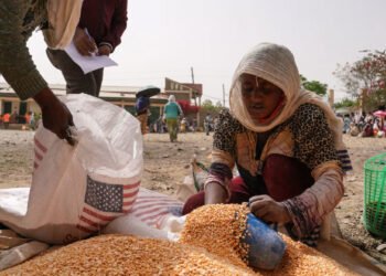 Estados Unidos destina 235 millones de dólares a Catholic Relief Services para ayuda alimentaria urgente en África oriental